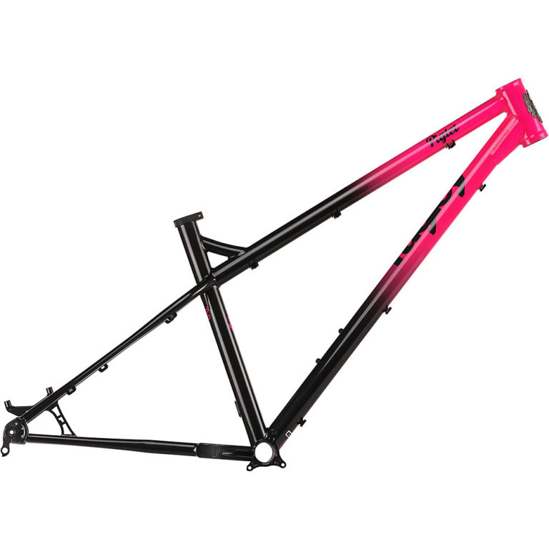 Ragley Piglet Hardtail Frame 2020 Reviews