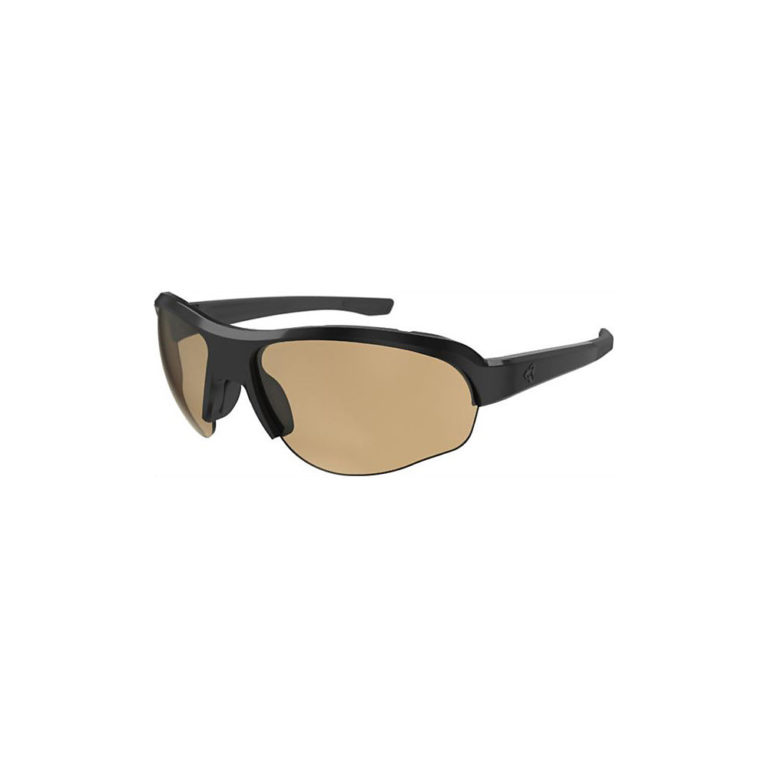 Ryders Eyewear Flume Photo Black Brown Lens 71%-27% 2019