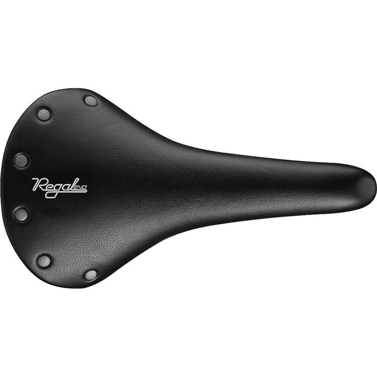 Selle San Marco Regal Evo Carbon Saddle Reviews