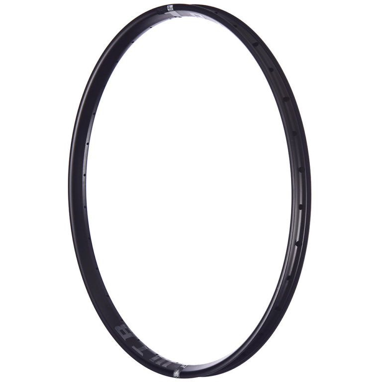 WTB Asym i-29 TCS Rim 2019 Reviews